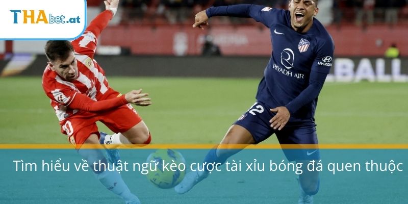 Tìm hiểu về thuật ngữ kèo cược tài xỉu bóng đá quen thuộc