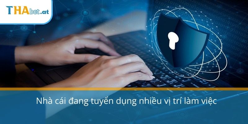 Nhà cái đang tuyển dụng nhiều vị trí làm việc